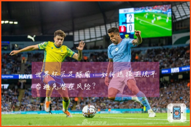 世界杯买足球前，如何选择正规平台避免潜在风险？