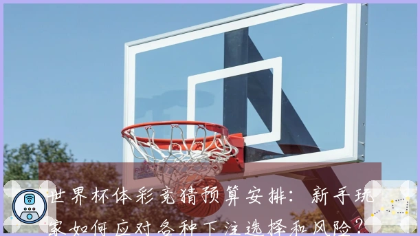 世界杯体彩竞猜预算安排:新手玩家如何应对各种下注选择和风险?